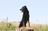 BEAUCERON 123